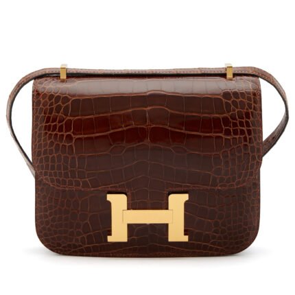 Miel Shiny Alligator Mini Constance 18 Gold Hardware, 2022